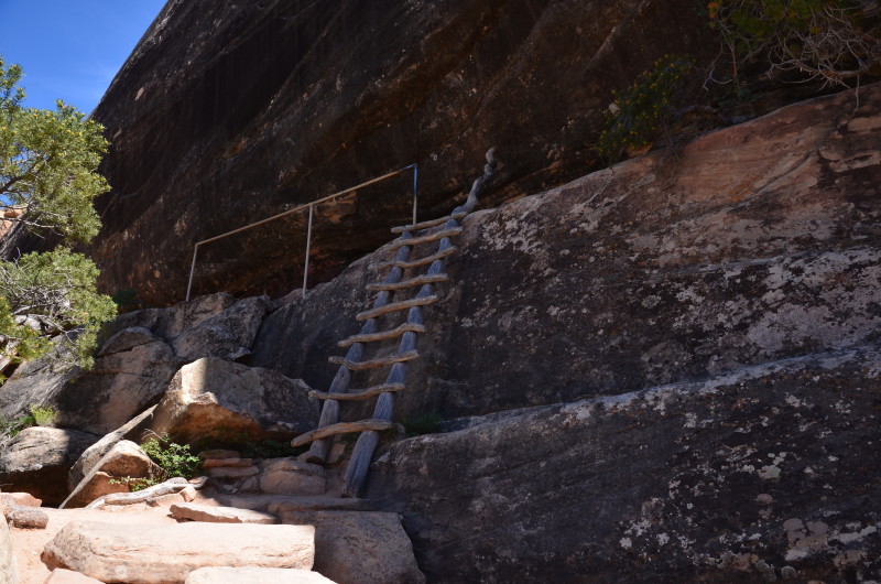 Ladder on the trail to Sipapu Bridge