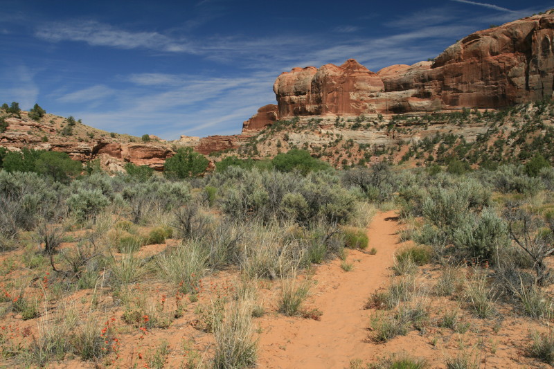 The trail to Escalante Natural Bridge