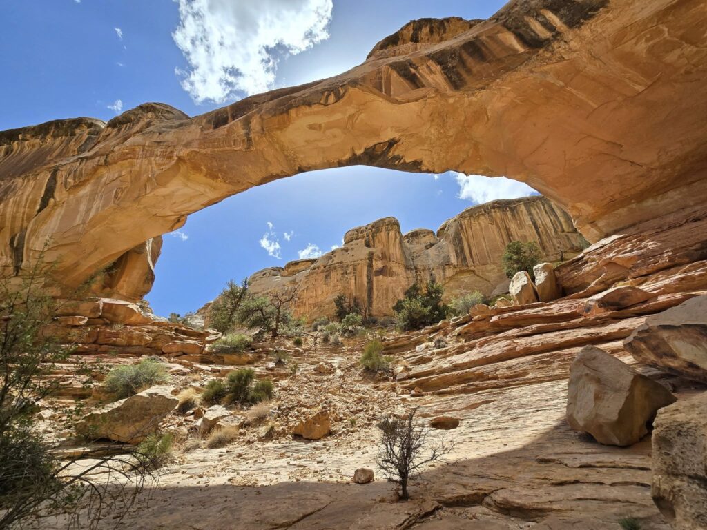 Capitol Reef - Hickman Bridge