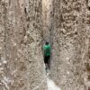Utah desert landscape with energy-rich trails, canyons, and peaceful nature views
