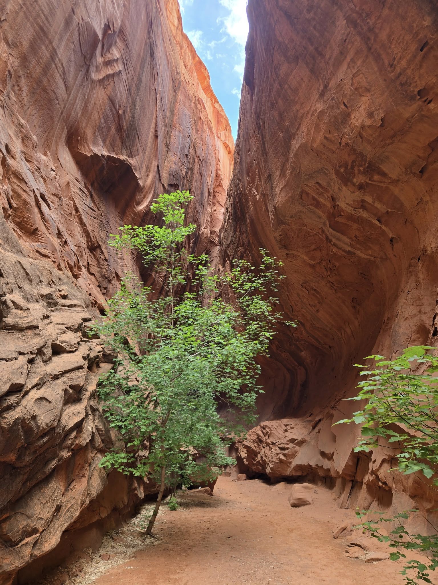 Underrated Utah canyon walk along Burr Trail with towering red walls