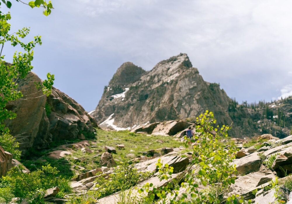 Trail through the Wasatch Mountains above Salt Lake City, Utah