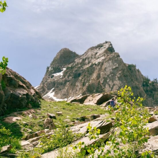 Trail through the Wasatch Mountains above Salt Lake City, Utah