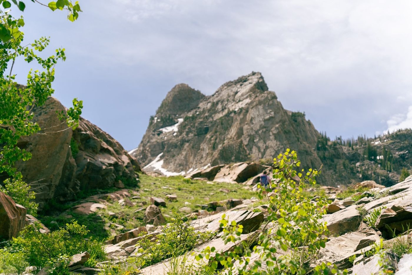 Trail through the Wasatch Mountains above Salt Lake City, Utah
